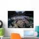 Set Soft Corals Grows Wall Decal