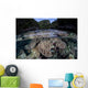 Set Soft Corals Grows Wall Decal