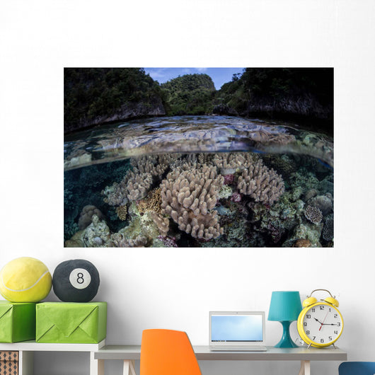 Set Soft Corals Grows Wall Decal