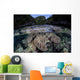 Set Soft Corals Grows Wall Decal