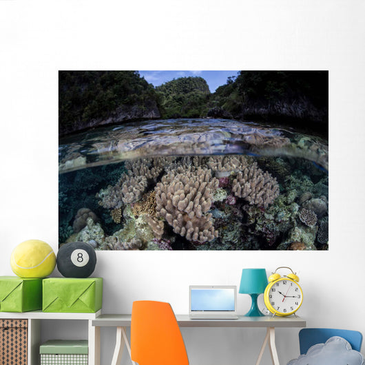 Set Soft Corals Grows Wall Decal