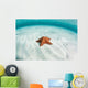 West Indian Starfish Seafloor Wall Decal Design 8