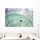 West Indian Starfish Seafloor Wall Decal Design 7