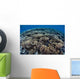 Fragile Corals Grow Shallow Wall Decal Design 5