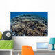 Fragile Corals Grow Shallow Wall Decal Design 5