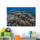 Fragile Corals Grow Shallow Wall Decal Design 5