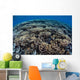 Fragile Corals Grow Shallow Wall Decal Design 5