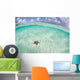 West Indian Starfish Seafloor Wall Decal Design 6