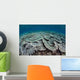 Fragile Corals Grow Shallow Wall Decal Design 4
