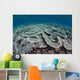 Fragile Corals Grow Shallow Wall Decal Design 4