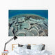 Fragile Corals Grow Shallow Wall Decal Design 3
