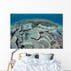 Fragile Corals Grow Shallow Wall Decal Design 3