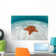 West Indian Starfish Seafloor Wall Decal Design 5