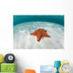 West Indian Starfish Seafloor Wall Decal Design 5