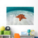 West Indian Starfish Seafloor Wall Decal Design 5