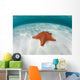 West Indian Starfish Seafloor Wall Decal Design 5