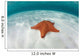 West Indian Starfish Seafloor Wall Decal Design 5