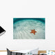West Indian Starfish Seafloor Wall Decal Design 4