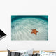 West Indian Starfish Seafloor Wall Decal Design 4