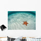 West Indian Starfish Seafloor Wall Decal Design 4