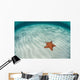 West Indian Starfish Seafloor Wall Decal Design 4