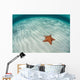 West Indian Starfish Seafloor Wall Decal Design 4
