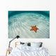 West Indian Starfish Seafloor Wall Decal Design 4