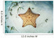West Indian Starfish Seafloor Wall Decal Design 3