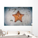 West Indian Starfish Seafloor Wall Decal Design 2