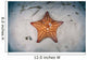 West Indian Starfish Seafloor Wall Decal Design 2