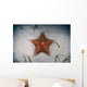 West Indian Starfish Seafloor Wall Decal Design 1