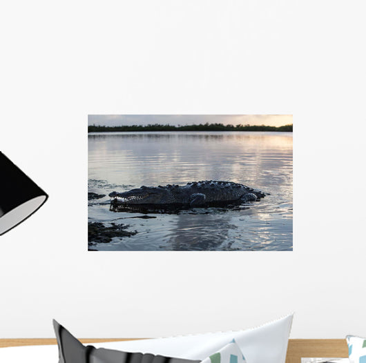 Large American Crocodile Surfaces Wall Decal Design 1