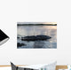 Large American Crocodile Surfaces Wall Decal Design 1