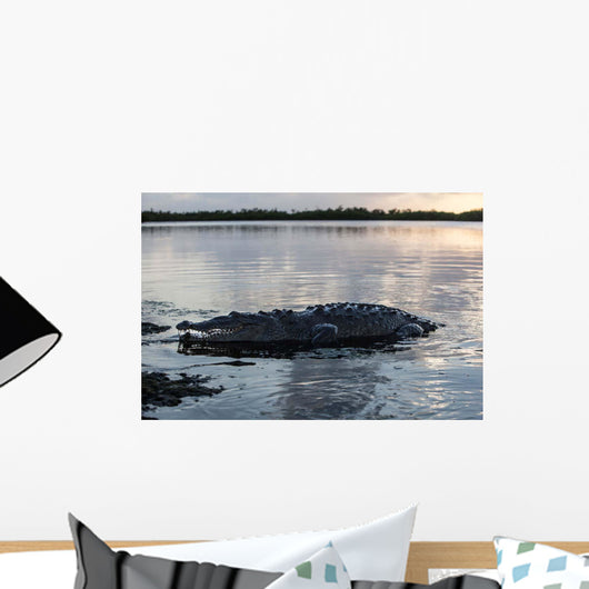 Large American Crocodile Surfaces Wall Decal Design 1