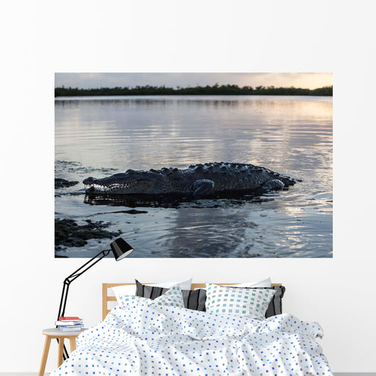 Large American Crocodile Surfaces Wall Decal Design 1