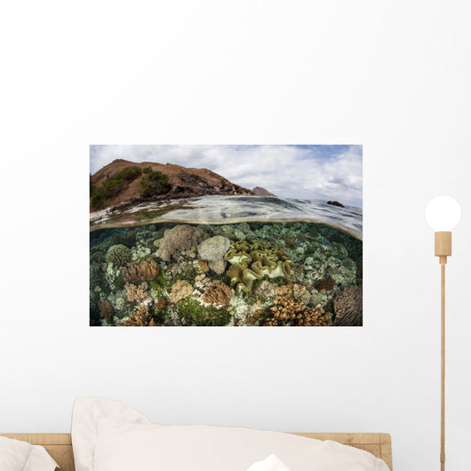 Beautiful Reef Grows Komodo Wall Decal Design 3
