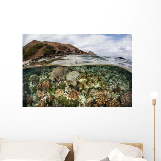Beautiful Reef Grows Komodo Wall Decal Design 3