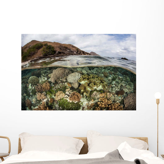 Beautiful Reef Grows Komodo Wall Decal Design 3