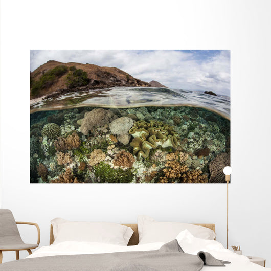 Beautiful Reef Grows Komodo Wall Decal Design 3