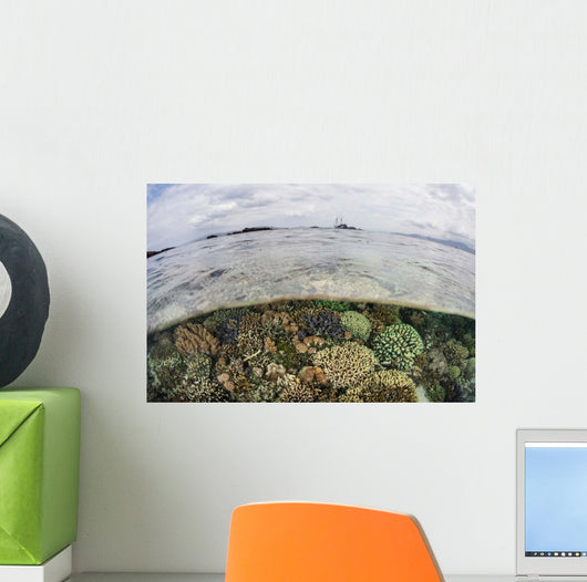Beautiful Reef Grows Komodo Wall Decal Design 2