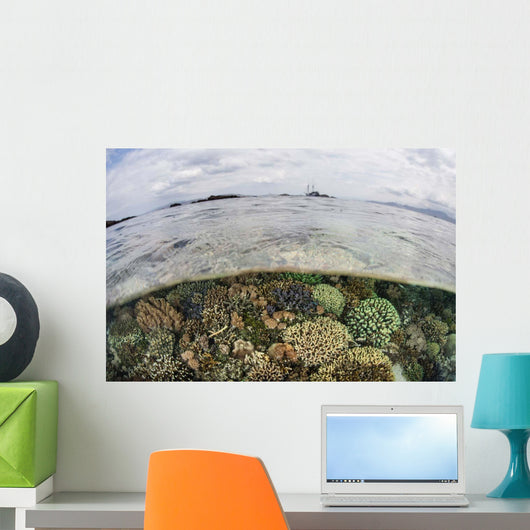 Beautiful Reef Grows Komodo Wall Decal Design 2