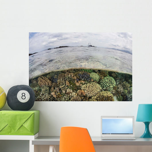 Beautiful Reef Grows Komodo Wall Decal Design 2