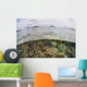 Beautiful Reef Grows Komodo Wall Decal Design 2