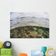 Beautiful Reef Grows Komodo Wall Decal Design 2