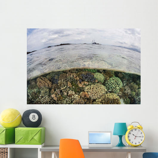 Beautiful Reef Grows Komodo Wall Decal Design 2
