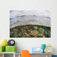 Beautiful Reef Grows Komodo Wall Decal Design 2