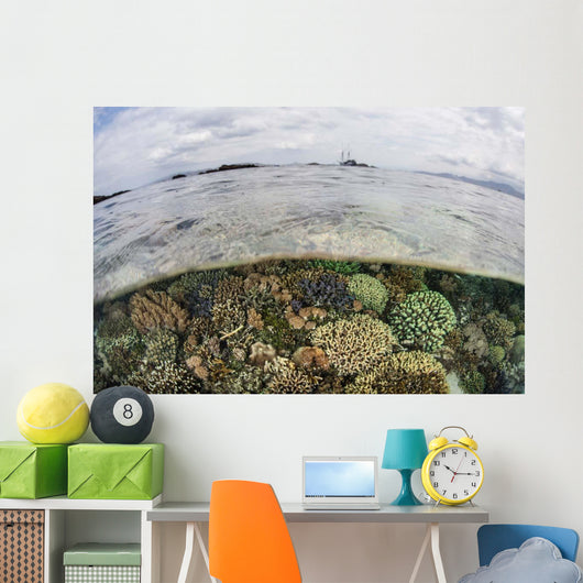 Beautiful Reef Grows Komodo Wall Decal Design 2