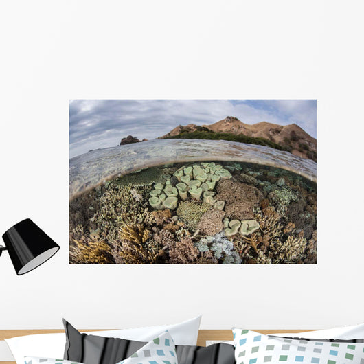 Beautiful Reef Grows Komodo Wall Decal Design 1