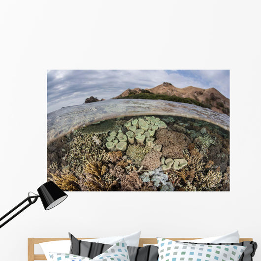 Beautiful Reef Grows Komodo Wall Decal Design 1