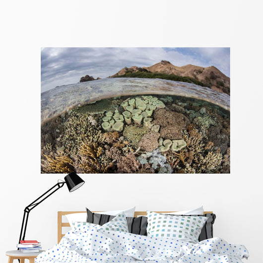 Beautiful Reef Grows Komodo Wall Decal Design 1